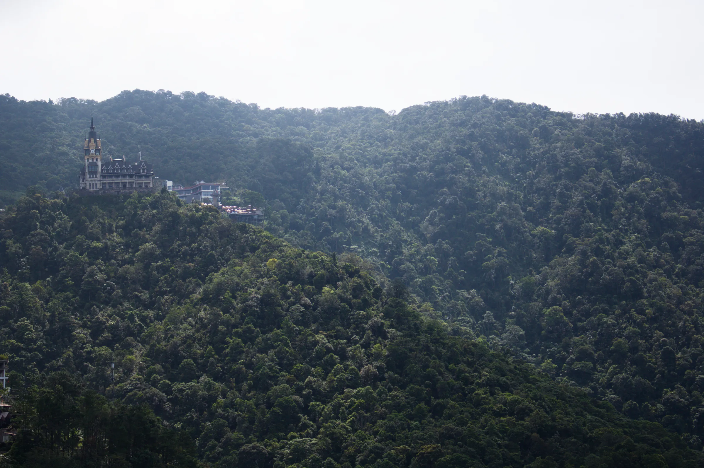 TamDao VinhPhuc